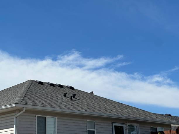 Best Steel Roofing  in Volga, SD