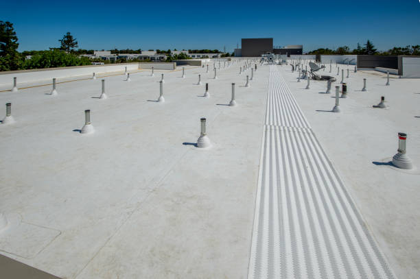Best Roof Coating and Sealing  in Volga, SD